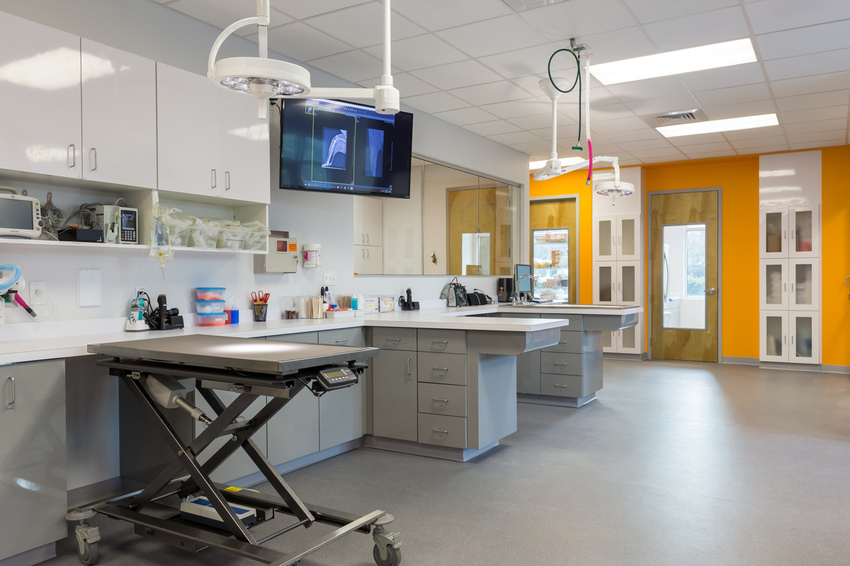 Veterinary Surgery Center of Sarasota in Lakewood Ranch, FL